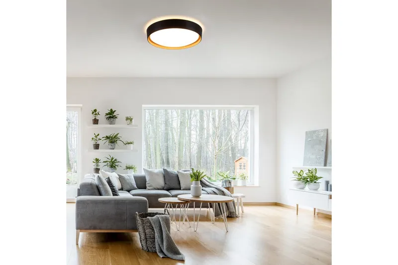 Emilia Just Light Taklampa - Black - Belysning - Lampor & belysning inomhus - Taklampa & takbelysning - Takplafond