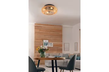 Fläkt TRIO Lillesand - Belysning - Lampor & belysning inomhus - Taklampa & takbelysning - Takplafond