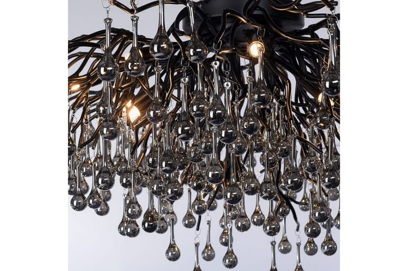 Istapp Paul Neuhaus Taklampa - Black - Belysning - Lampor & belysning inomhus - Taklampa & takbelysning - Kristallkrona & takkrona