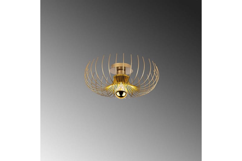 Ljuskrona Sadorte Rany - 36 x 36 x 12 cm - Belysning - Lampor & belysning inomhus - Taklampa & takbelysning - Takplafond