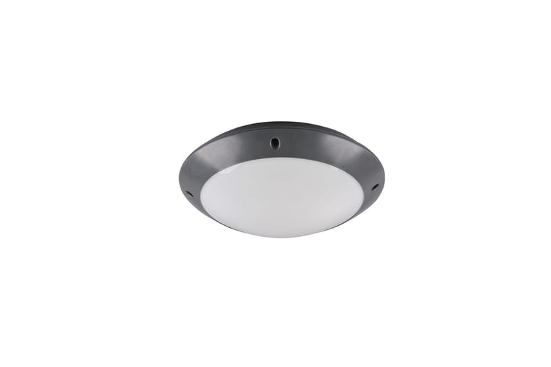 Camaro plafond 26cm E27 antracit - Antracit - Belysning - Lampor & belysning inomhus - Taklampa & takbelysning - Pendellampa & hänglampa