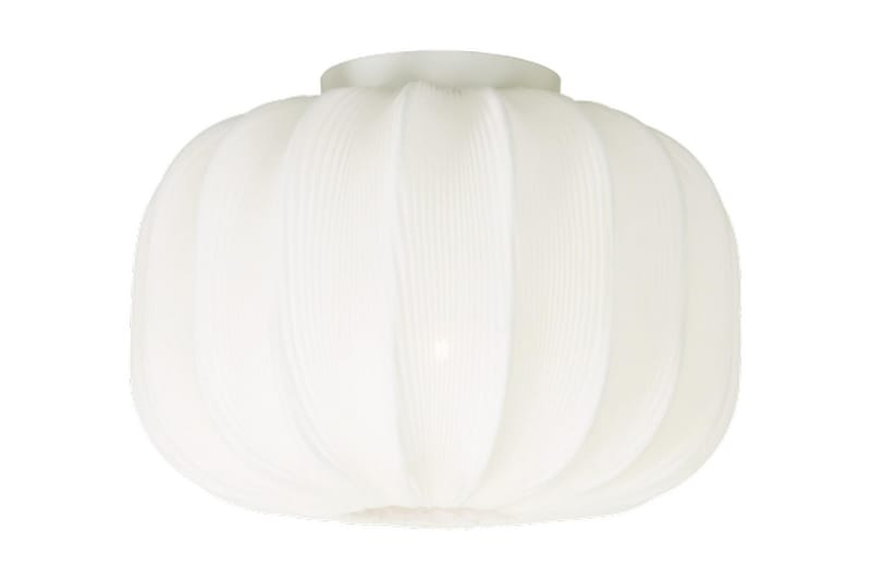 Plafond Madame Vit - Hall lampa - Taklampa & takbelysning - Takplafond - Plafond