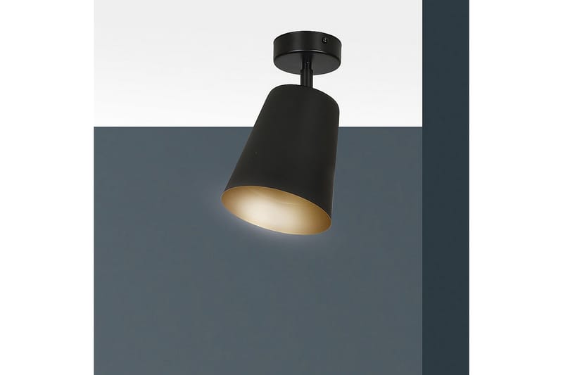 Prism 1 pendel Svart - Scandinavian Choice - Taklampa sovrum - Kökslampa & taklampa kök - Hall lampa - Fönsterlampa - Pendellampa & hänglampa - Taklampa vardagsrum - Fönsterlampa hängande - Taklampa & takbelysning