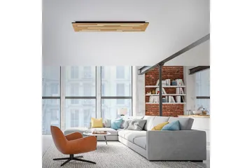 Q-Akustik Paul Neuhaus Vägg/taklampa - Wood - Belysning - Lampor & belysning inomhus - Taklampa & takbelysning - Takplafond