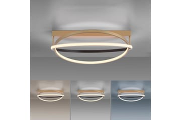 Q-Beluga Paul Neuhaus Taklampa - Brass - Belysning - Lampor & belysning inomhus - Taklampa & takbelysning - Takplafond