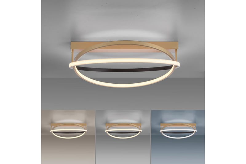 Q-Beluga Paul Neuhaus Taklampa - Brass - Belysning - Lampor & belysning inomhus - Taklampa & takbelysning - Takplafond