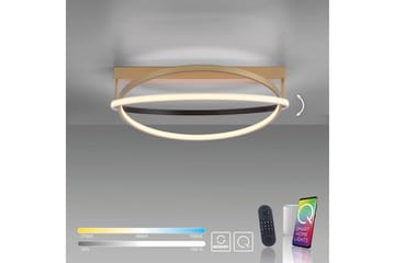 Q-Beluga Paul Neuhaus Taklampa - Brass - Belysning - Lampor & belysning inomhus - Taklampa & takbelysning - Takplafond