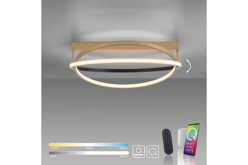 Q-Beluga Paul Neuhaus Taklampa - Brass - Belysning - Lampor & belysning inomhus - Taklampa & takbelysning - Takplafond