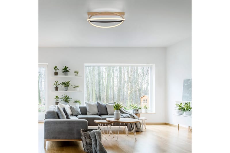 Q-Beluga Paul Neuhaus Taklampa - Brass - Belysning - Lampor & belysning inomhus - Taklampa & takbelysning - Takplafond