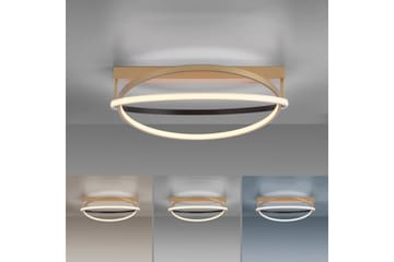 Q-Beluga Paul Neuhaus Taklampa - Brass - Belysning - Lampor & belysning inomhus - Taklampa & takbelysning - Takplafond