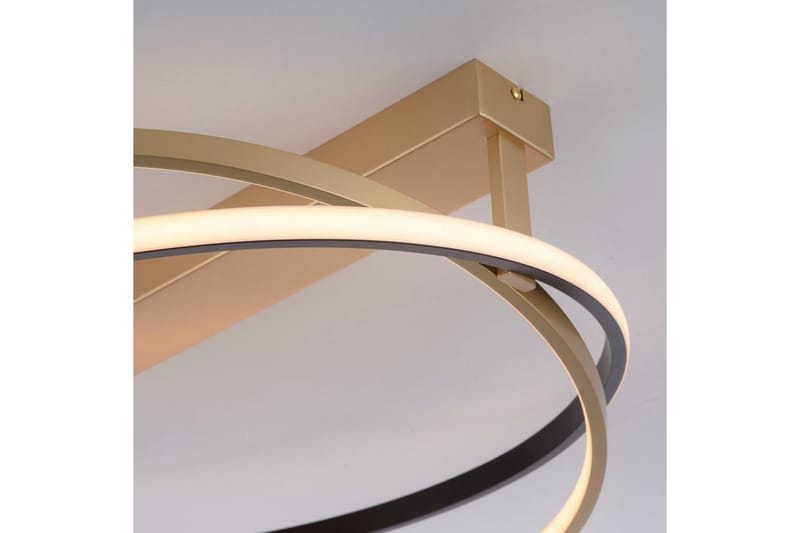 Q-Beluga Paul Neuhaus Taklampa - Brass - Belysning - Lampor & belysning inomhus - Taklampa & takbelysning - Takplafond