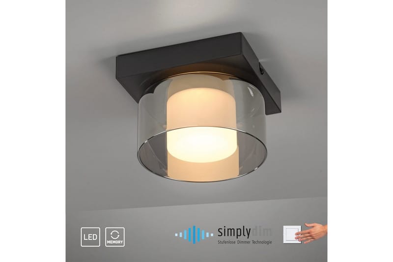 Rika Paul Neuhaus Taklampa - Black - Belysning - Lampor & belysning inomhus - Taklampa & takbelysning - Takplafond