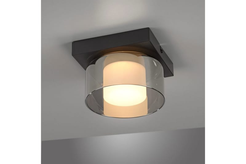 Rika Paul Neuhaus Taklampa - Black - Belysning - Lampor & belysning inomhus - Taklampa & takbelysning - Takplafond