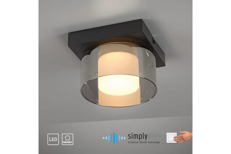 Rika Paul Neuhaus Taklampa - Black - Belysning - Lampor & belysning inomhus - Taklampa & takbelysning - Takplafond