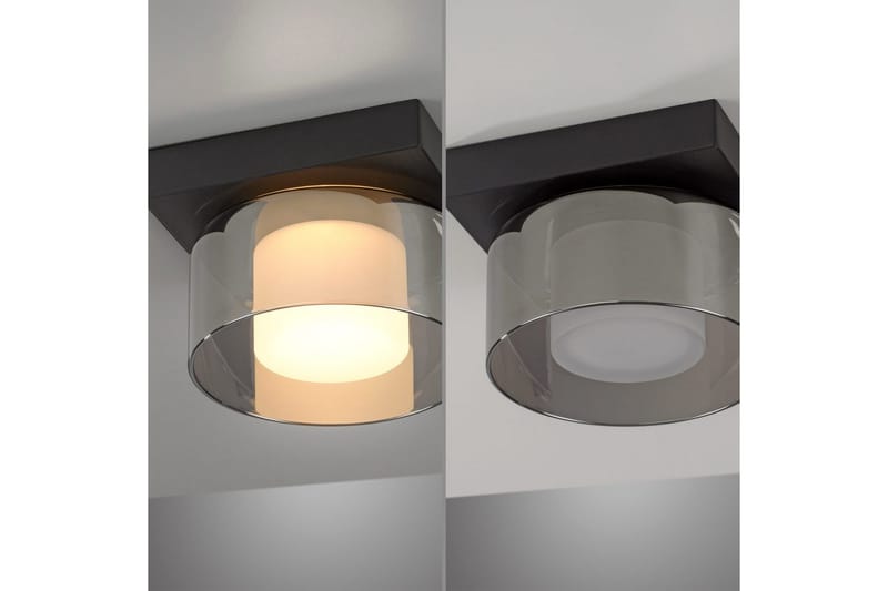 Rika Paul Neuhaus Taklampa - Black - Belysning - Lampor & belysning inomhus - Taklampa & takbelysning - Takplafond