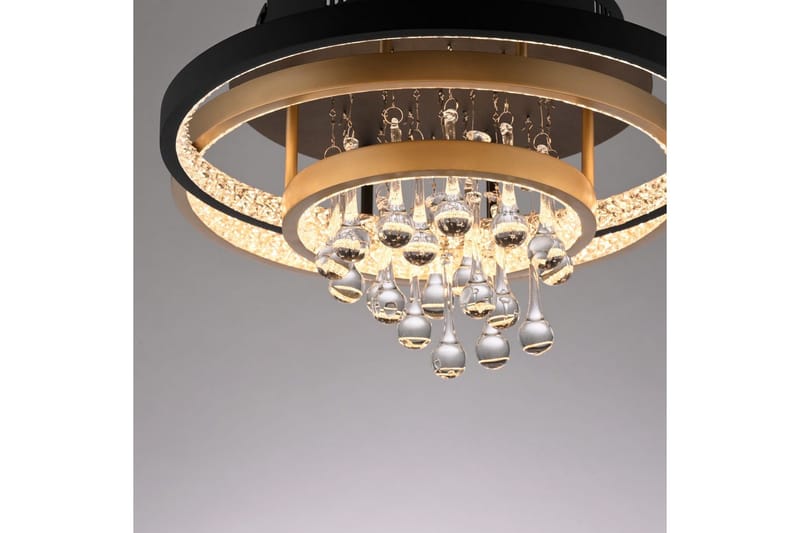 Rotazo Paul Neuhaus Taklampa - Black||Brass - Belysning - Lampor & belysning inomhus - Taklampa & takbelysning - Takplafond