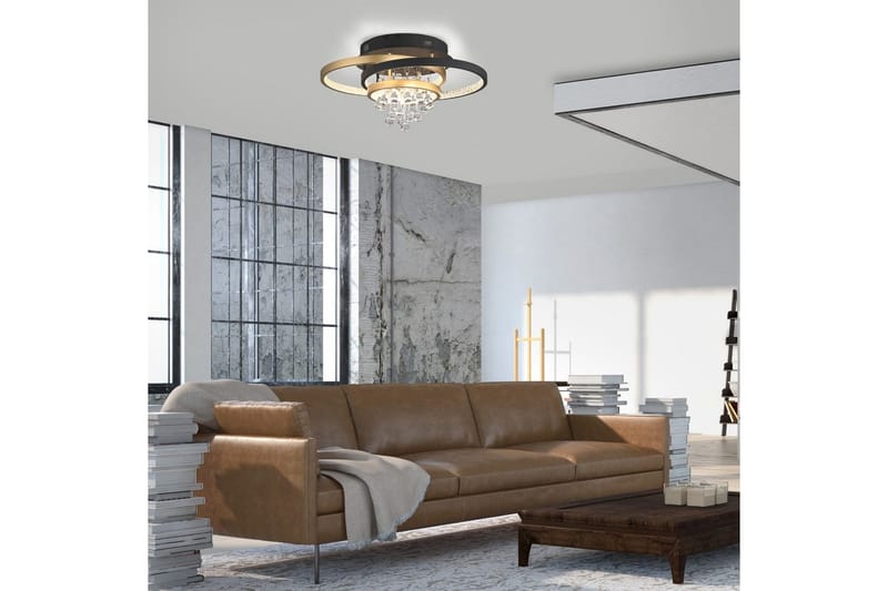 Rotazo Paul Neuhaus Taklampa - Black||Brass - Belysning - Lampor & belysning inomhus - Taklampa & takbelysning - Takplafond