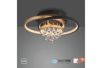 Rotazo Paul Neuhaus Taklampa - Black||Brass - Belysning - Lampor & belysning inomhus - Taklampa & takbelysning - Takplafond