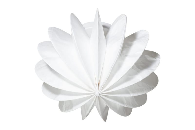 Tak-/Vägglampa Dalia - Belysning - Lampor & belysning inomhus - Taklampa & takbelysning - Takplafond