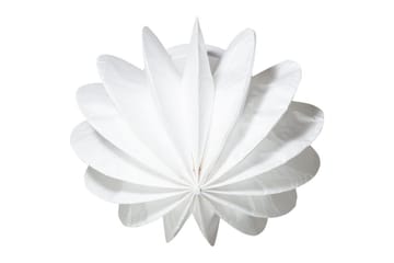 Tak-/Vägglampa Dalia - Belysning - Lampor & belysning inomhus - Taklampa & takbelysning - Takplafond