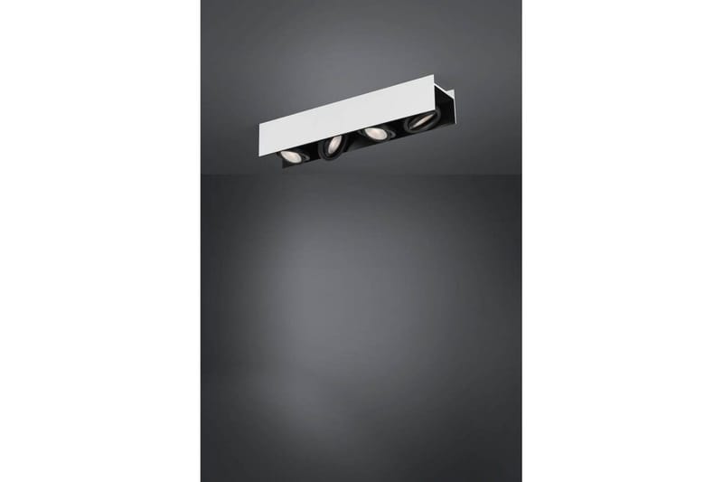 Takbelysning Eglo Vidago Vit/Svart 4 Lampor - 4 Lampor - Belysning - Lampor & belysning inomhus - Taklampa & takbelysning - Takplafond