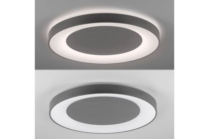 Taklampa Anika - Grå - Belysning - Lampor & belysning inomhus - Taklampa & takbelysning - Takplafond