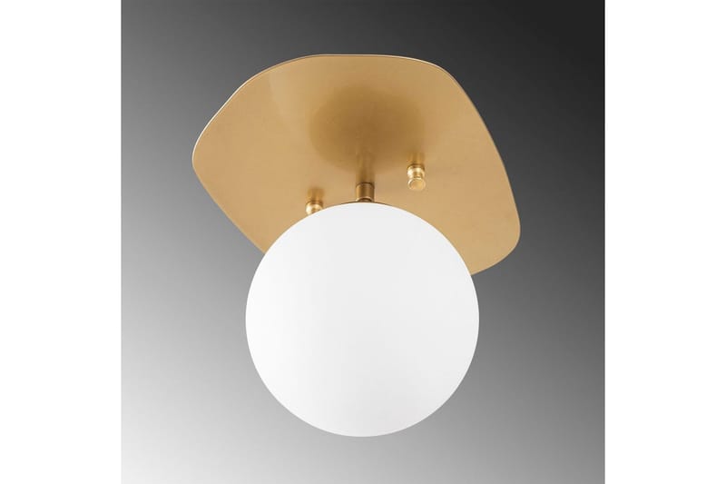 Taklampa Ariofield (20 x 25 x 25 cm) Rany - Rany - Belysning - Lampor & belysning inomhus - Taklampa & takbelysning - Takplafond