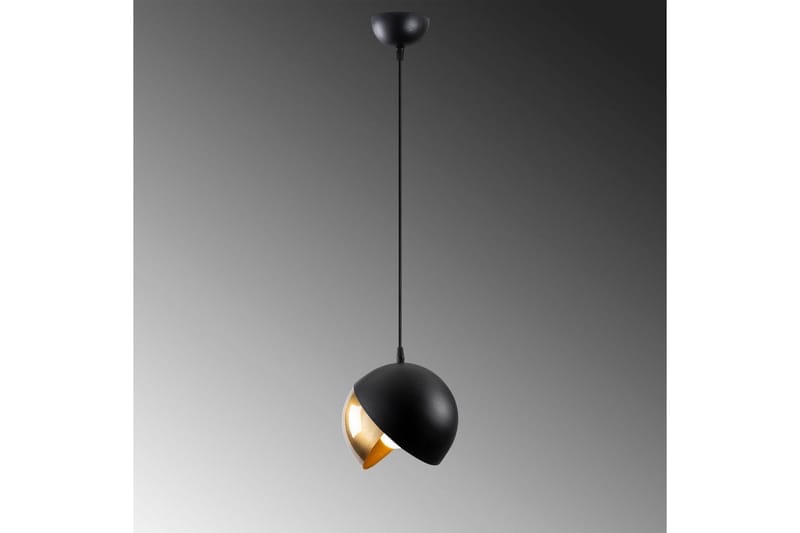 Taklampa Dalenor Svart / Rany Enkeluttag - Enkeluttag - Belysning - Lampor & belysning inomhus - Taklampa & takbelysning - Kökslampa & taklampa kök