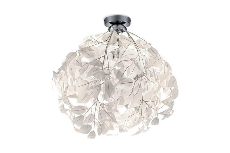 Taklampa Leavy - Trio Lighting - Hall lampa - Taklampa & takbelysning - Takplafond - Plafond