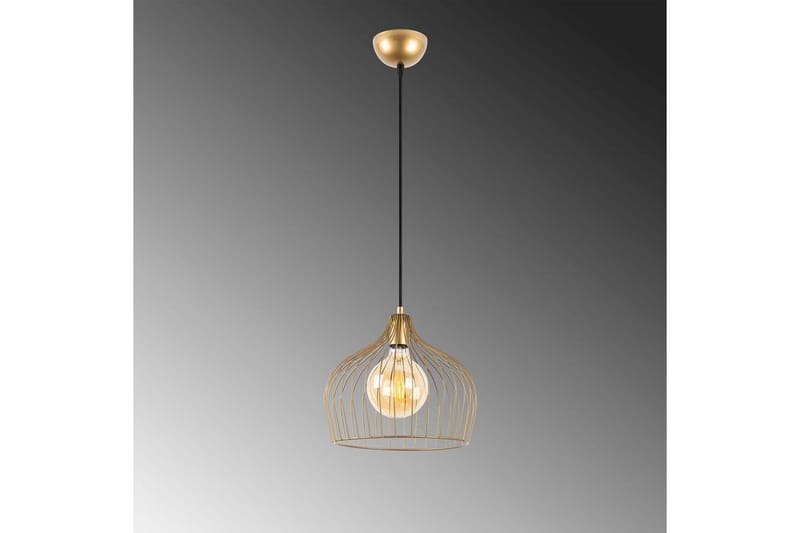 Taklampa Meron Shiny One Gold - Guld - Belysning - Lampor & belysning inomhus - Taklampa & takbelysning - Kökslampa & taklampa kök