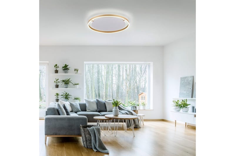 Taklampa Ritus - 58,5x5,3x58,5 cm, Matt mässing - Belysning - Lampor & belysning inomhus - Taklampa & takbelysning - Takplafond