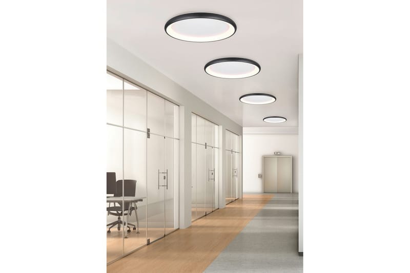 Taklampa TRIO Cardona 75 cm, Mattsvart - 75 cm, Mattsvart - Belysning - Lampor & belysning inomhus - Taklampa & takbelysning - Takplafond