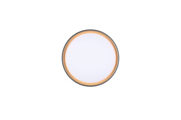 Taklampa TRIO Felis - Belysning - Lampor & belysning inomhus - Taklampa & takbelysning - Takplafond