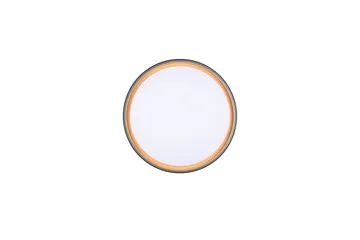 Taklampa TRIO Felis - Belysning - Lampor & belysning inomhus - Taklampa & takbelysning - Takplafond