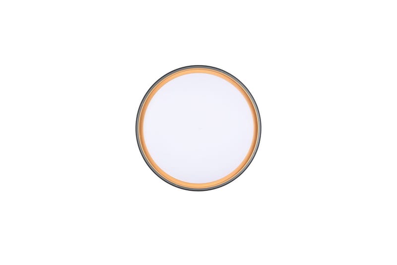 Taklampa TRIO Felis - Belysning - Lampor & belysning inomhus - Taklampa & takbelysning - Takplafond