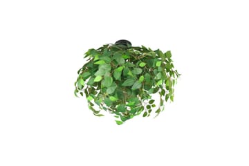 Taklampa TRIO Leavy 70 cm - 70 cm - Belysning - Lampor & belysning inomhus - Taklampa & takbelysning - Takplafond