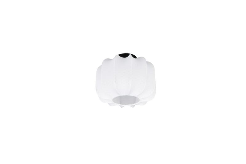 Taklampa TRIO Madeline 25 cm - 25 cm - Belysning - Lampor & belysning inomhus - Taklampa & takbelysning - Takplafond