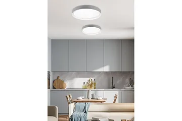 Taklampa TRIO Zeta Grå/vit - Grå/vit - Belysning - Lampor & belysning inomhus - Taklampa & takbelysning - Takplafond