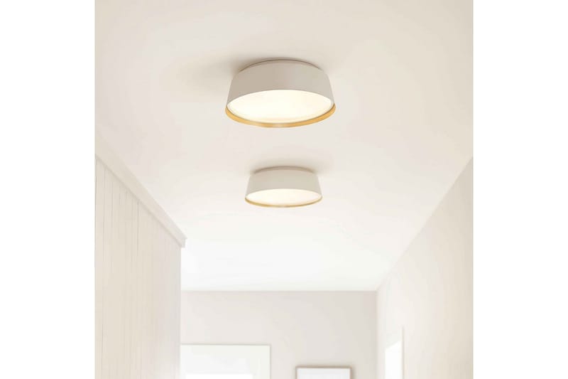 Takmonterad Feiss Asher Matt vit och guld - Matt vit och guld - Belysning - Lampor & belysning inomhus - Taklampa & takbelysning - Takplafond