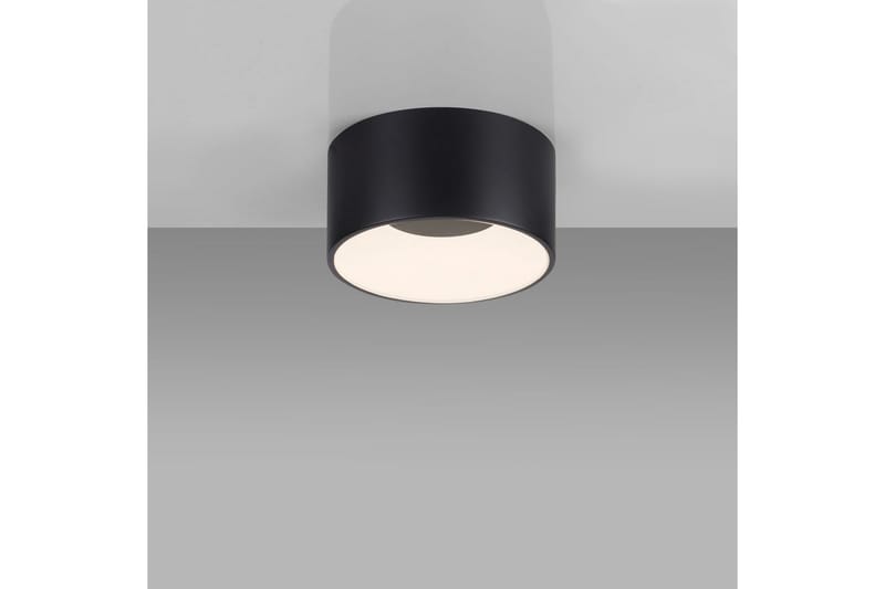 Tanika Just Light Taklampa - Black - Belysning - Lampor & belysning inomhus - Taklampa & takbelysning - Takplafond