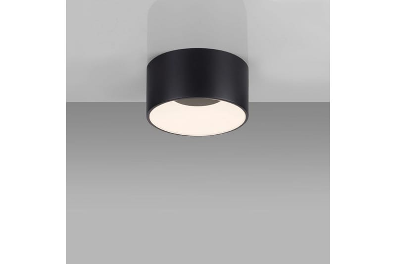 Tanika Just Light Taklampa - Black - Belysning - Lampor & belysning inomhus - Taklampa & takbelysning - Takplafond
