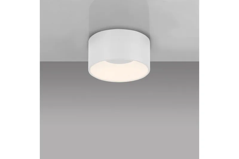 Tanika Just Light Taklampa - White - Belysning - Lampor & belysning inomhus - Taklampa & takbelysning - Takplafond