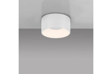 Tanika Just Light Taklampa - White - Belysning - Lampor & belysning inomhus - Taklampa & takbelysning - Takplafond