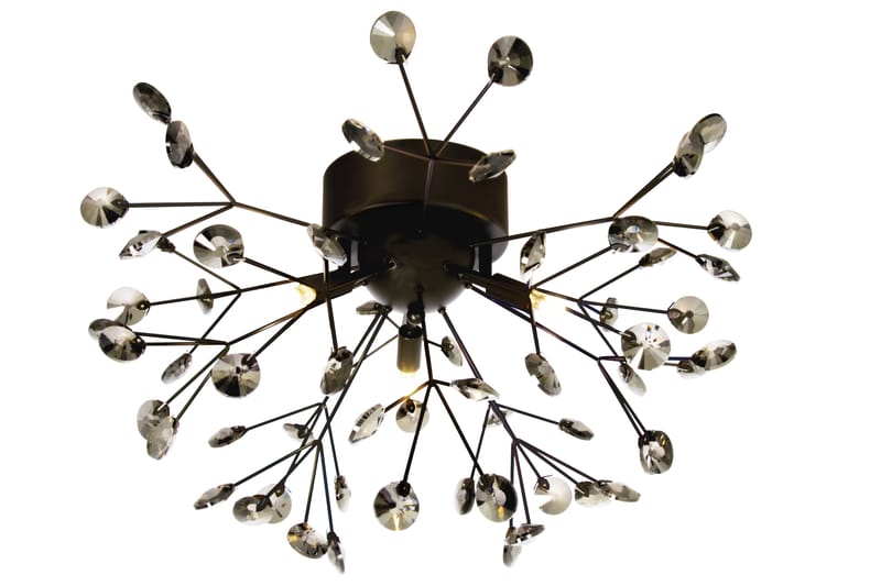 VIVA plafond, svart - Aneta Lighting - Hall lampa - Taklampa & takbelysning - Plafond - Takplafond