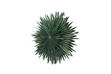 Sälen Adventsstjärna / Jullampa 60 cm - Grön - Belysning - Julbelysning - Adventsstjärna