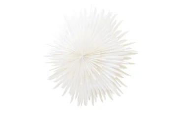 Sälen Adventsstjärna / Jullampa 100 cm - Vit - Belysning - Julbelysning - Adventsstjärna