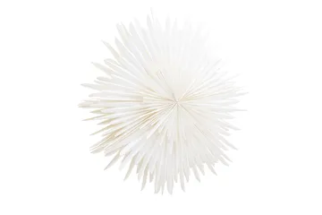 Sälen Adventsstjärna / Jullampa 100 cm - Vit - Belysning - Julbelysning - Adventsstjärna