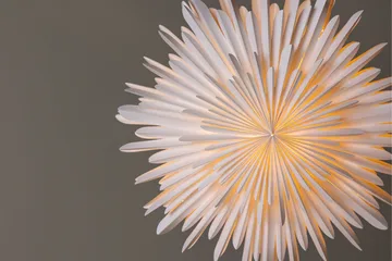 Sälen Adventsstjärna / Jullampa 60 cm - Vit - Belysning - Julbelysning - Adventsstjärna