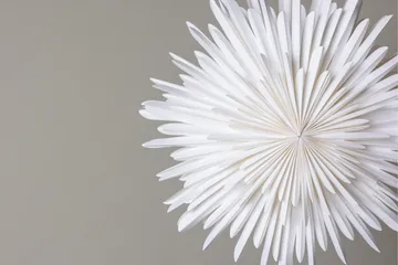 Sälen Adventsstjärna / Jullampa 60 cm - Vit - Belysning - Julbelysning - Adventsstjärna