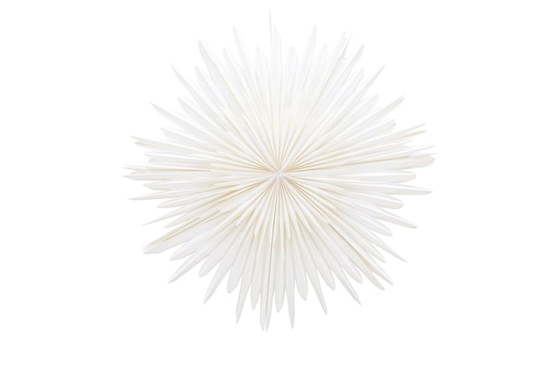 Sälen Adventsstjärna / Jullampa 100 cm, Vit
